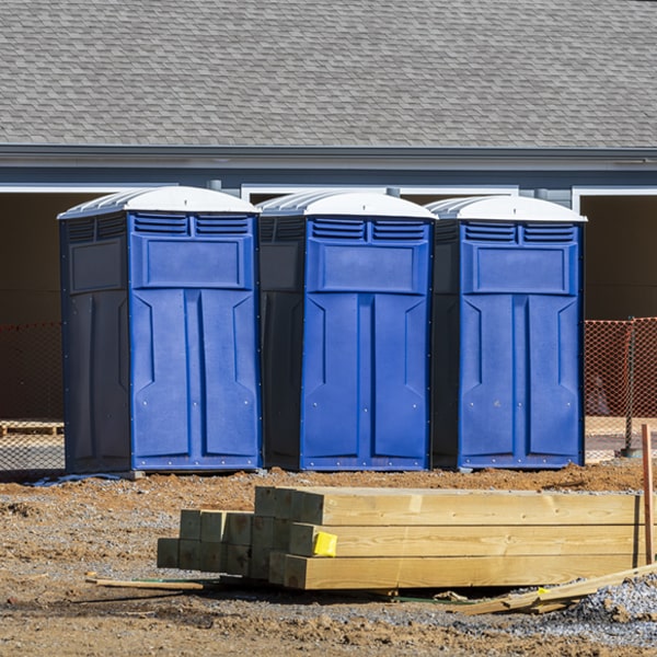 what is the cost difference between standard and deluxe porta potty rentals in Garza-Salinas II